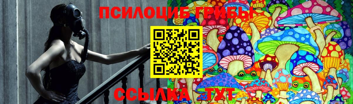 Галлюциногенные грибы Magic Shrooms Тында