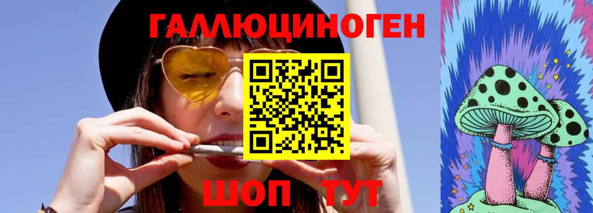 Псилоцибиновые грибы прущие грибы  Вход с VPN  Тында 